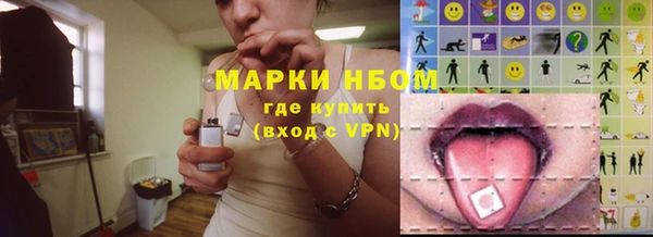 стафф Арсеньев