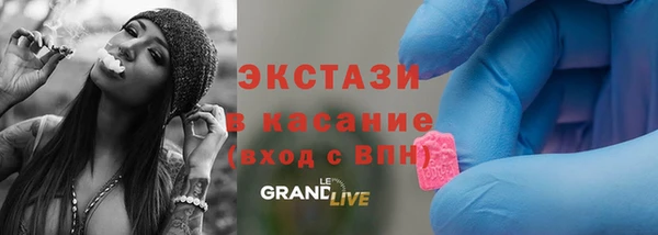 стафф Арсеньев