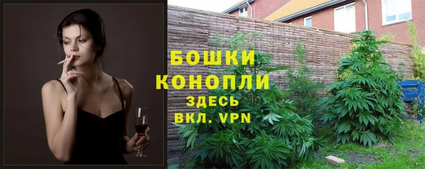 стафф Арсеньев