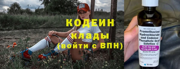 стафф Арсеньев
