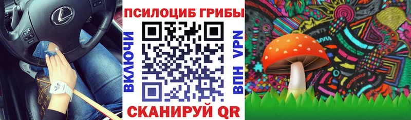 купить наркотики цена  blacksprut   Псилоцибиновые грибы Cubensis  Белово 